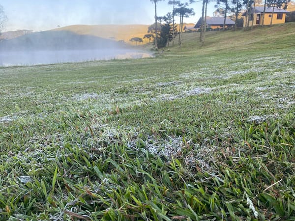 Frio em novembro? RS registra mínimas de 5ºC e amanhecer com geada; VÍDEO