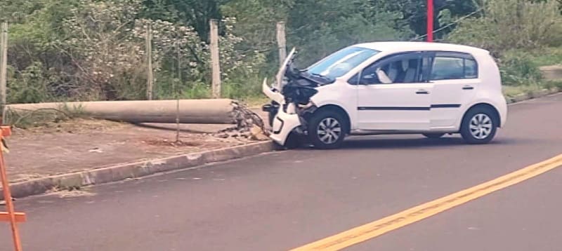 VÍDEO: motorista derruba 4 postes ao desviar de tatu em São Carlos